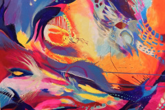 rot-alba-decisa-IMG_44761