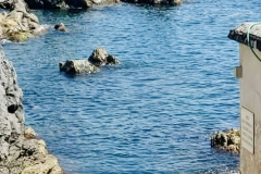 am-meer-9957E947-344B-4FE3-B23A-7A18DBECBDE4